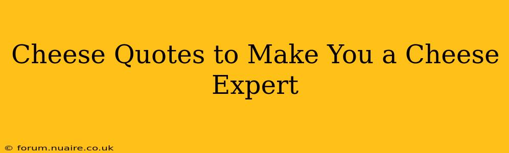 Cheese Quotes to Make You a Cheese Expert