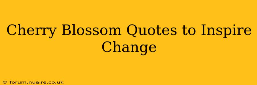 Cherry Blossom Quotes to Inspire Change