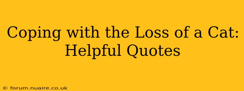 Coping with the Loss of a Cat: Helpful Quotes