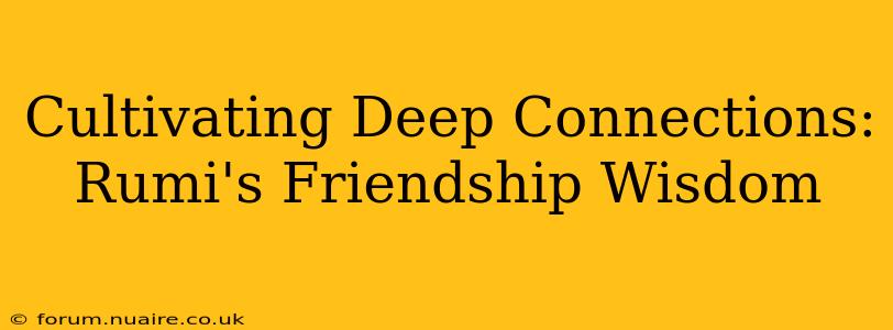 Cultivating Deep Connections: Rumi's Friendship Wisdom