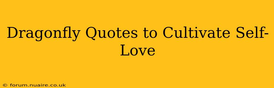 Dragonfly Quotes to Cultivate Self-Love