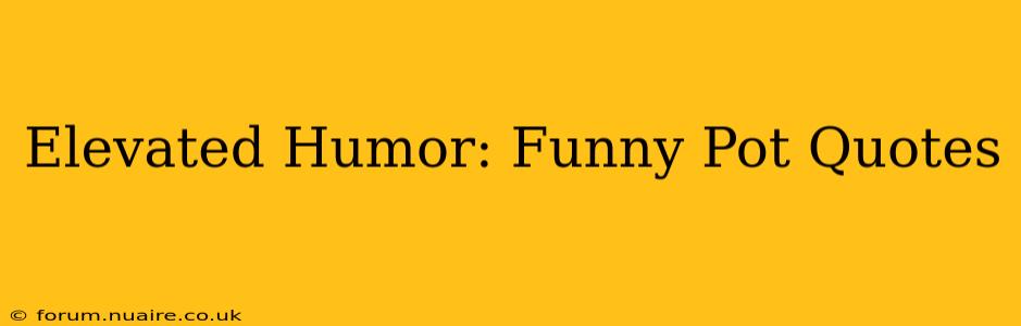 Elevated Humor: Funny Pot Quotes