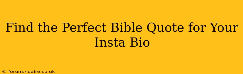 Find the Perfect Bible Quote for Your Insta Bio