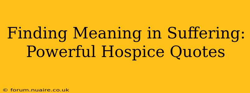 Finding Meaning in Suffering:  Powerful Hospice Quotes