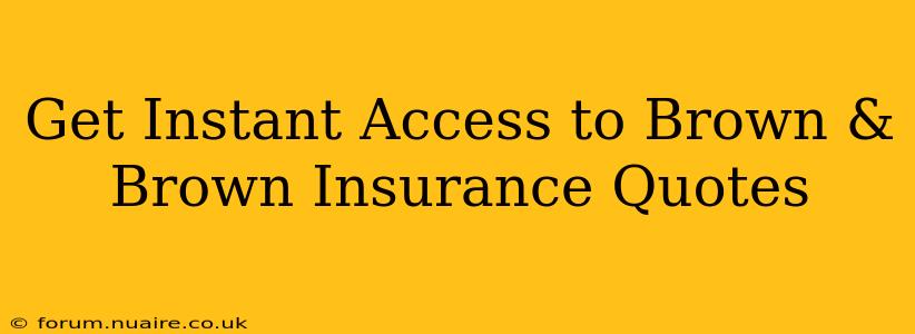 Get Instant Access to Brown & Brown Insurance Quotes