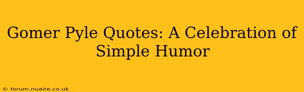 Gomer Pyle Quotes: A Celebration of Simple Humor