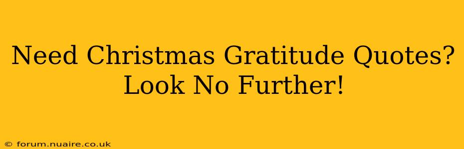 Need Christmas Gratitude Quotes? Look No Further!