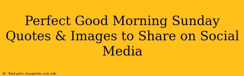 Perfect Good Morning Sunday Quotes & Images to Share on Social Media