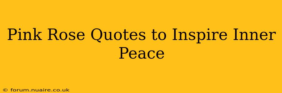 Pink Rose Quotes to Inspire Inner Peace