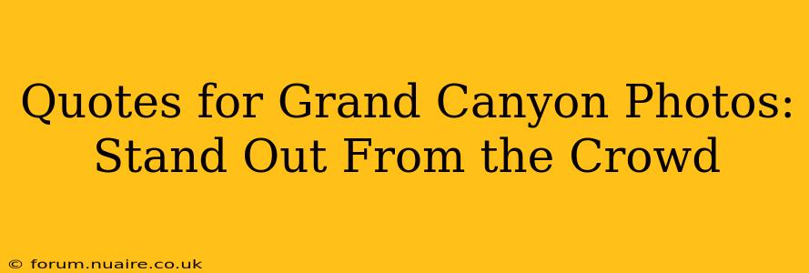 Quotes for Grand Canyon Photos: Stand Out From the Crowd