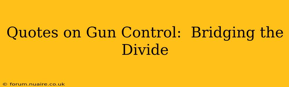 Quotes on Gun Control:  Bridging the Divide