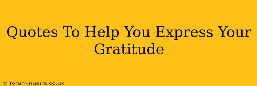 Quotes To Help You Express Your Gratitude