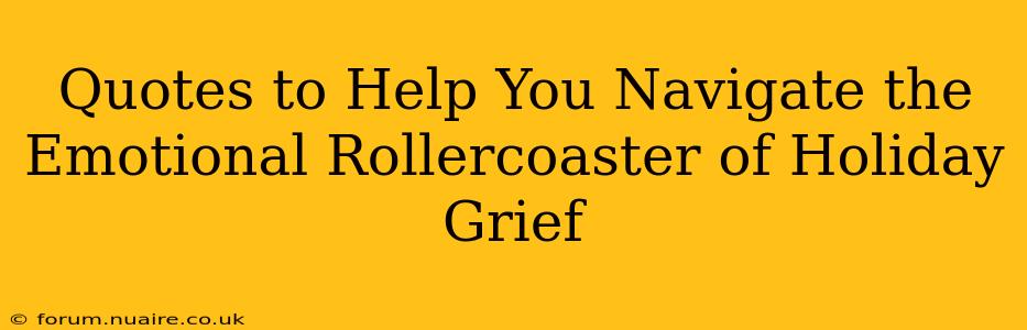 Quotes to Help You Navigate the Emotional Rollercoaster of Holiday Grief