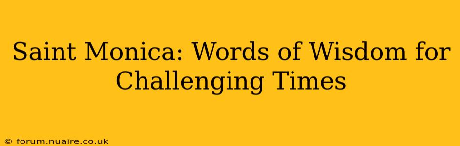 Saint Monica: Words of Wisdom for Challenging Times