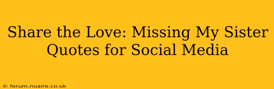 Share the Love: Missing My Sister Quotes for Social Media
