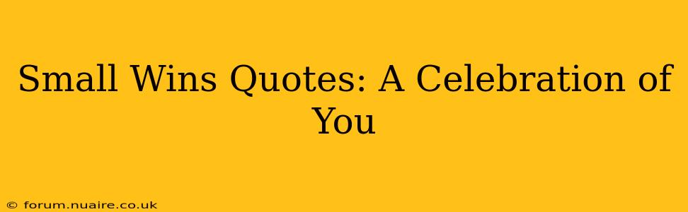 Small Wins Quotes: A Celebration of You