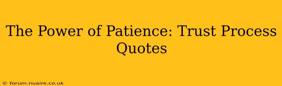 The Power of Patience: Trust Process Quotes