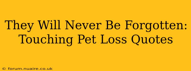 They Will Never Be Forgotten:  Touching Pet Loss Quotes