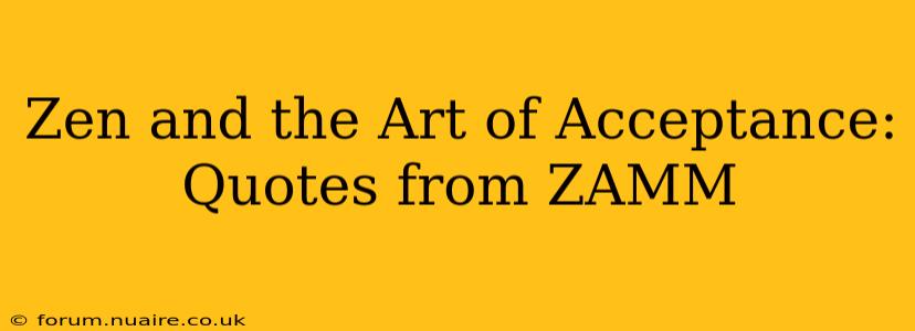 Zen and the Art of Acceptance: Quotes from ZAMM